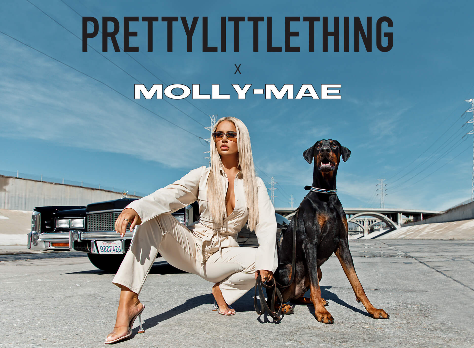 Molly Mae Edit | PrettyLittleThing