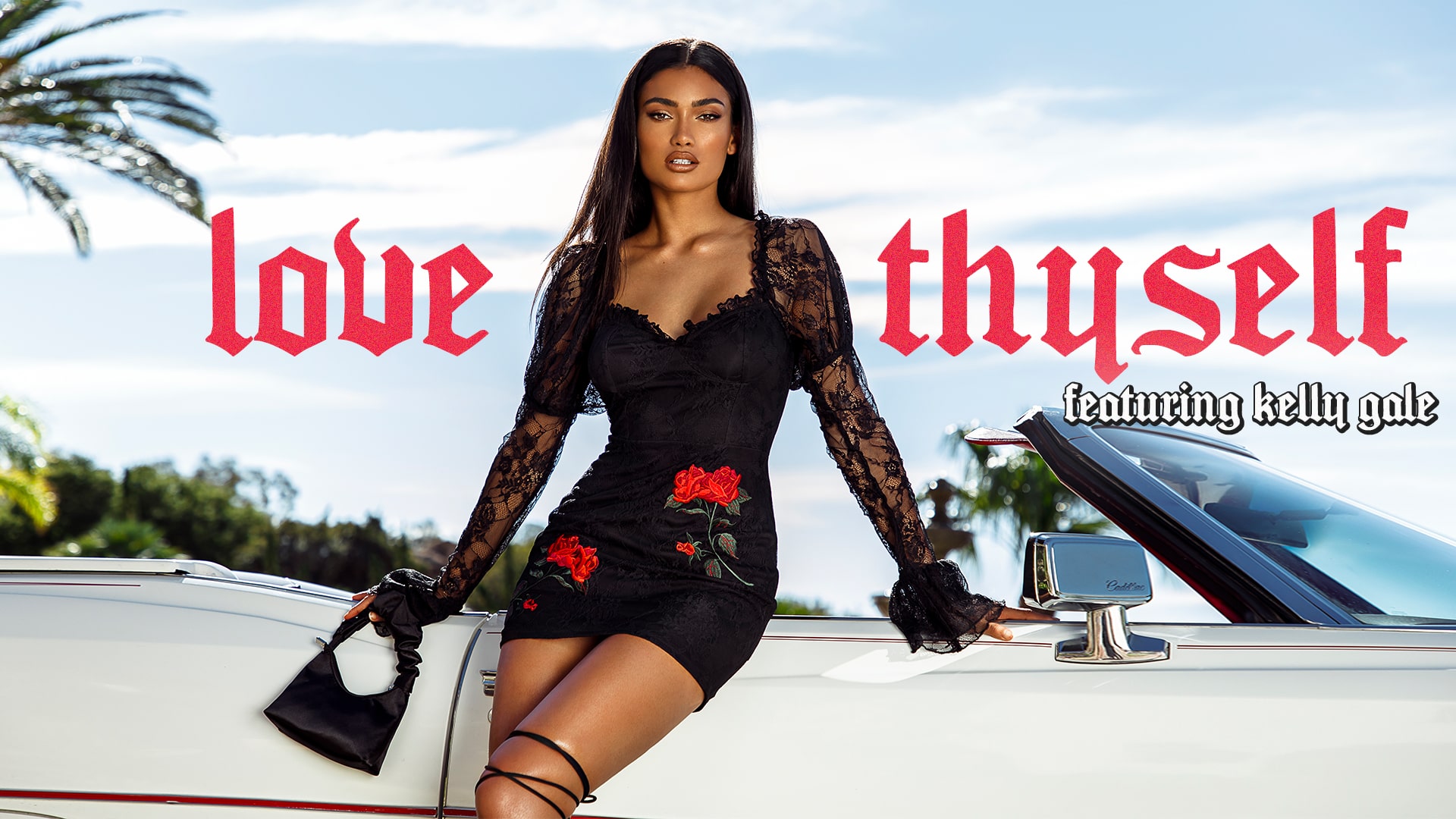 Header Image