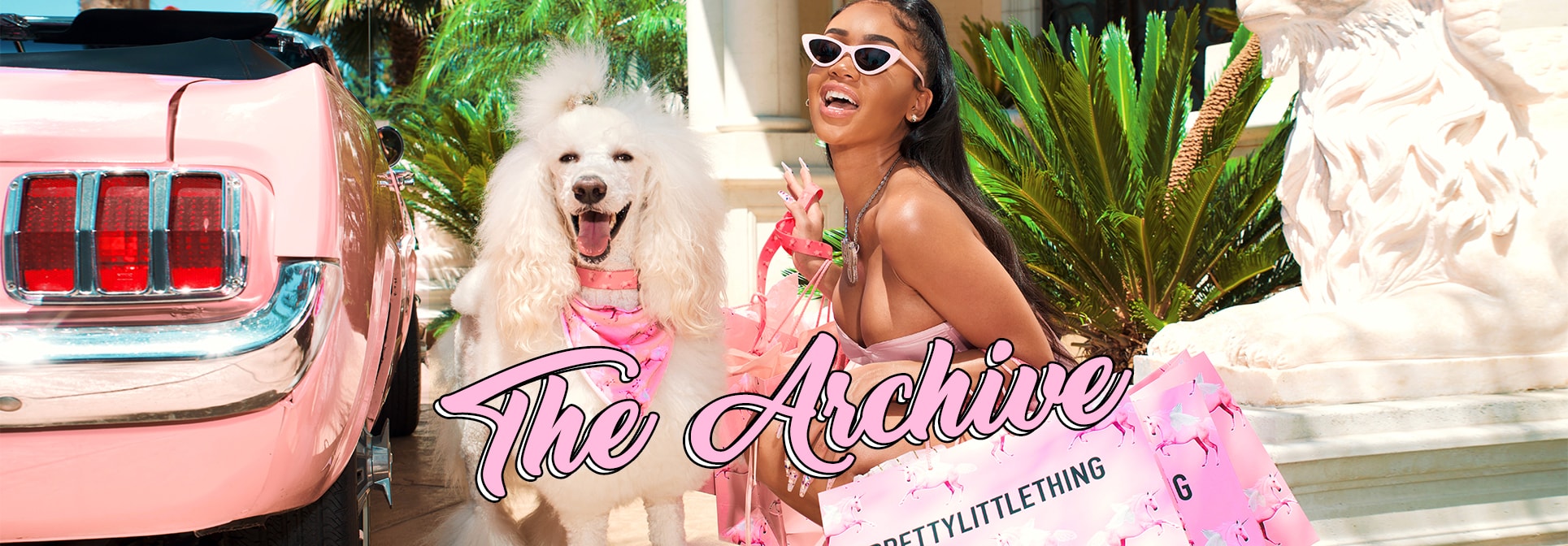 The Archive Desktop Splash