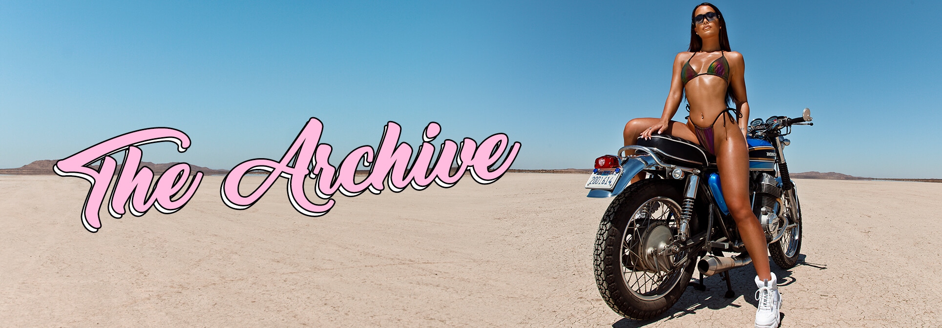 The Archive Desktop Splash