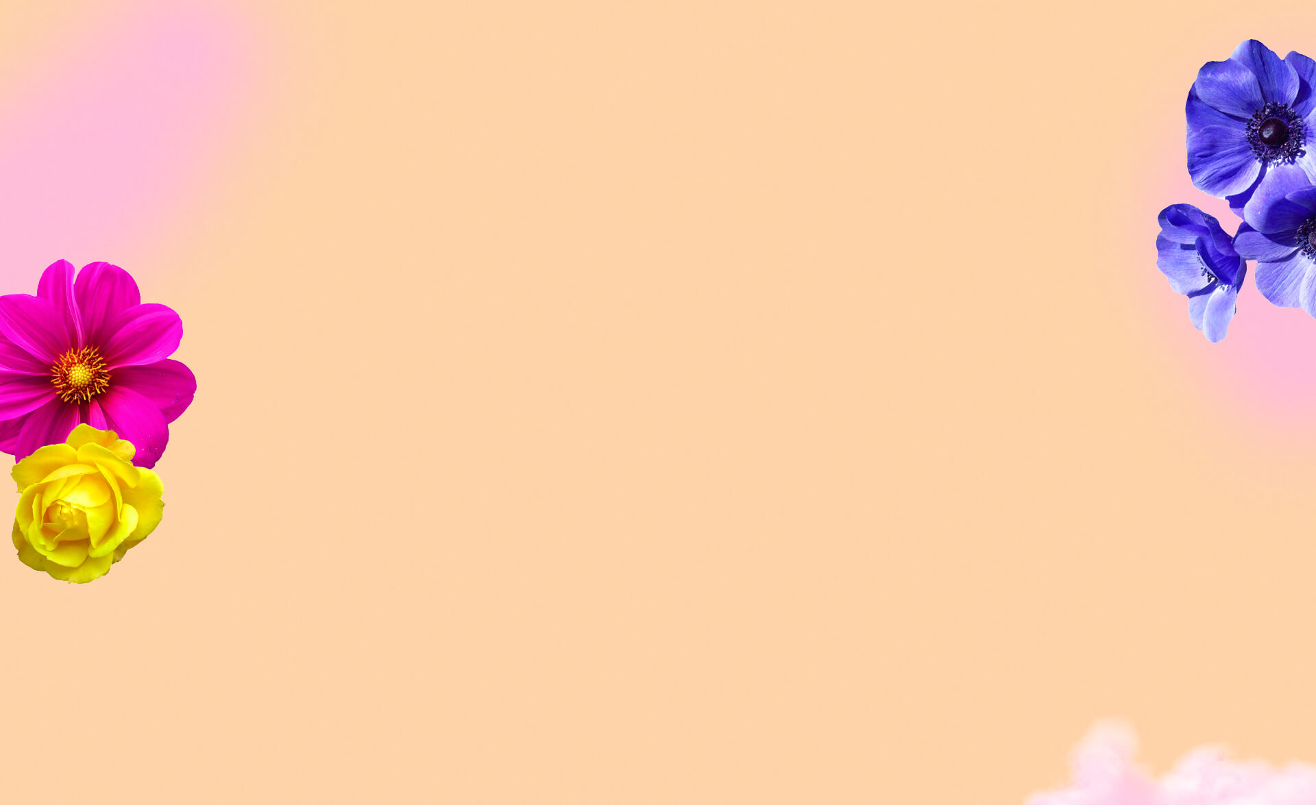 Background four