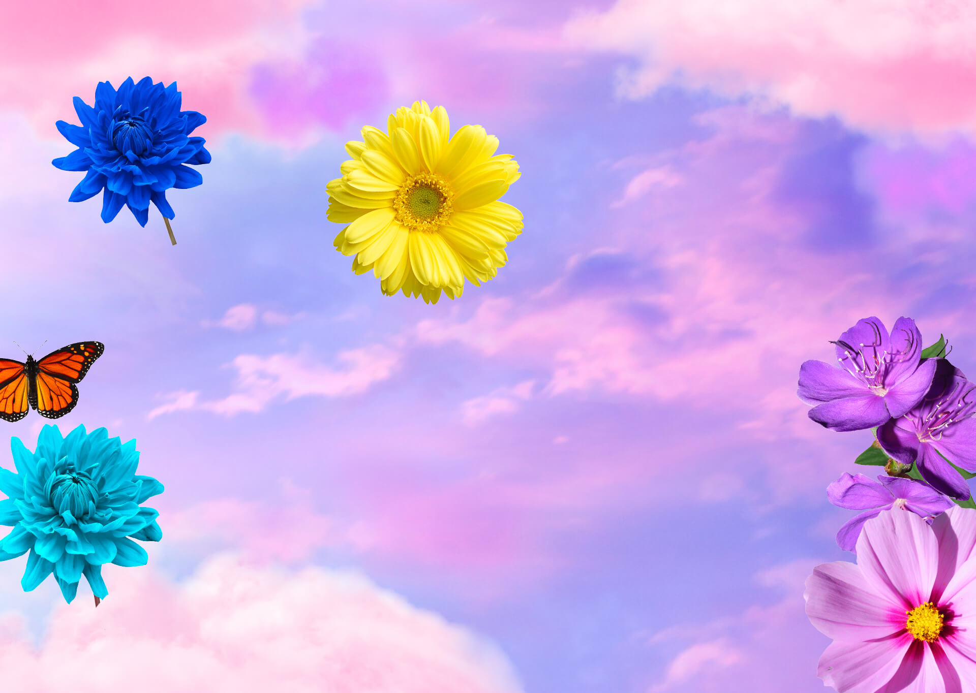 Background six