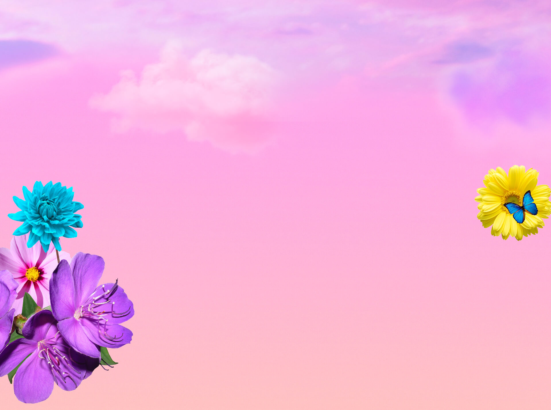 Background eight